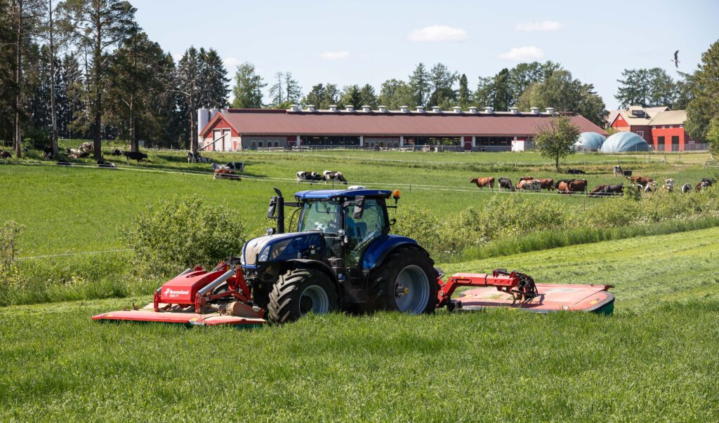 Silage harvesting, barn, biogas plant and grazing cows.