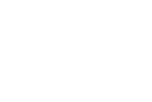 VTT logo