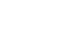 Valio logo